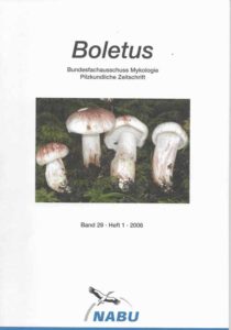 Boletus 29-1 (2006)